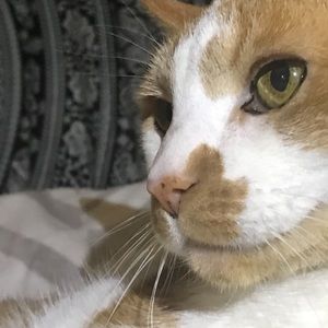 Meet your Posher, Sophia